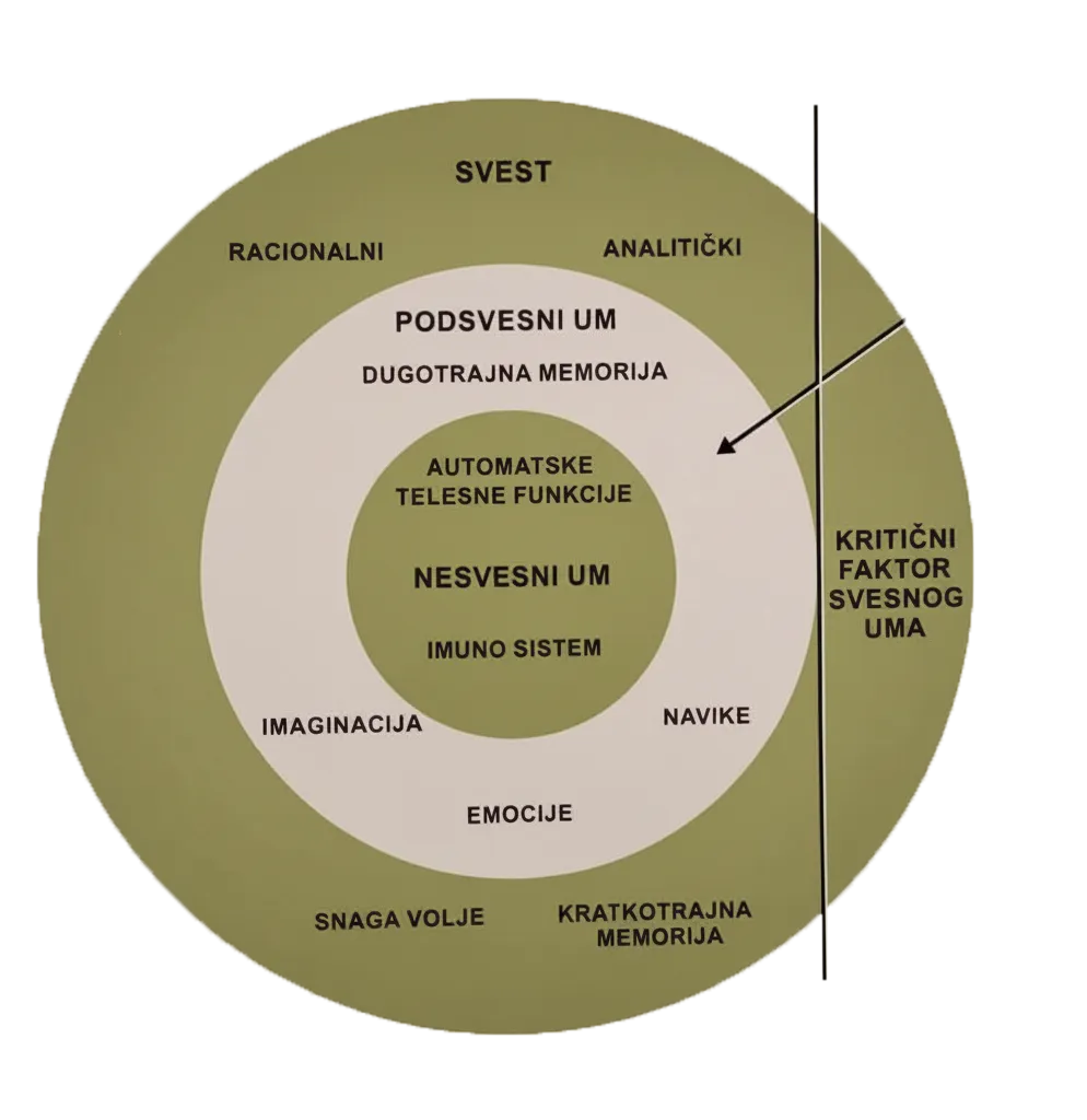 Moć podsvesti – Transformacija kroz hipnoterapiju