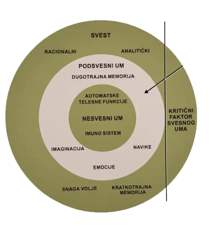 Moć podsvesti – Transformacija kroz hipnoterapiju
